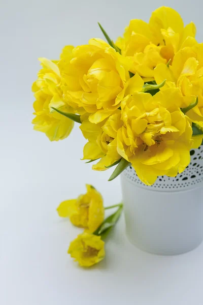 Buquê de primavera . — Fotografia de Stock