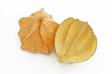 Physalis meyve