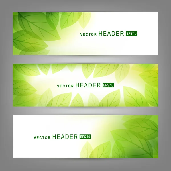 Set van vector banners met verse groene bladeren — Stockvector