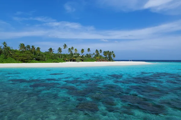 Isola delle Maldive con palme — Foto Stock