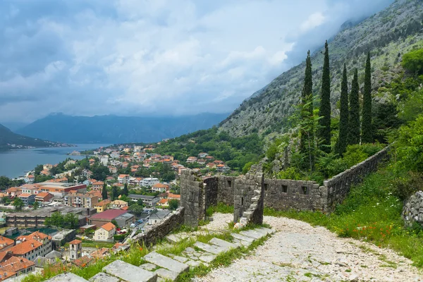 Cetatea Sfântul Ioan din Kotor — Fotografie, imagine de stoc