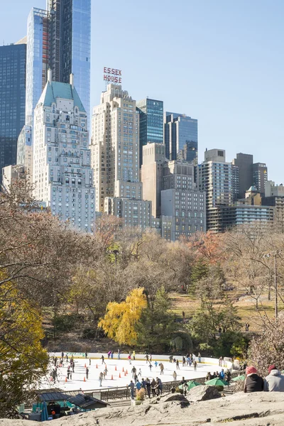 NUEVA YORK, EE.UU. - 23 DE NOVIEMBRE: Manhattan skyline con Central Park — Foto de Stock