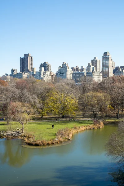 NEW YORK, US - NOVEMBER 23: Manhattan skyline with Central Park — Stock Photo, Image