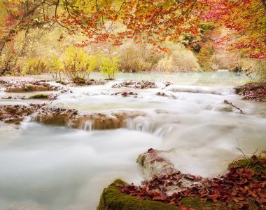 sezon sonbahar sonbahar orman ve akarsu nehir,