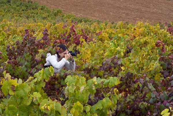 Fotoğrafçı — Stok fotoğraf