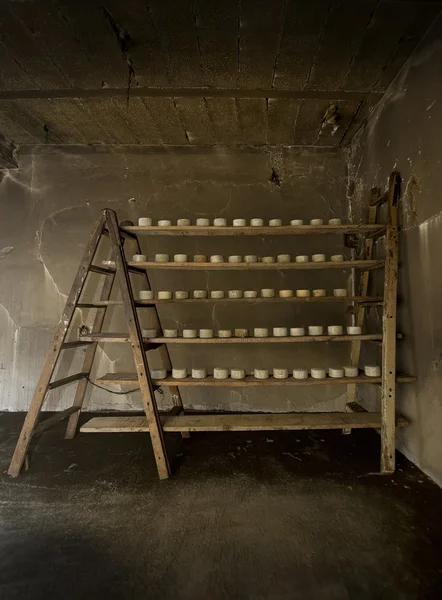 Traditional and ancient cheese factory — Stock Photo, Image