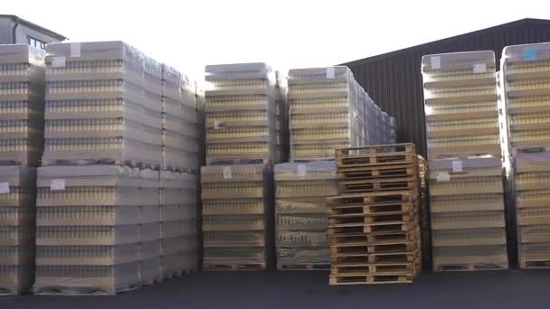 Drewniane palety ze szklaną butelką pokryte są przezroczystym stojakiem z folii polietylenowej na fabryce alkoholu — Wideo stockowe
