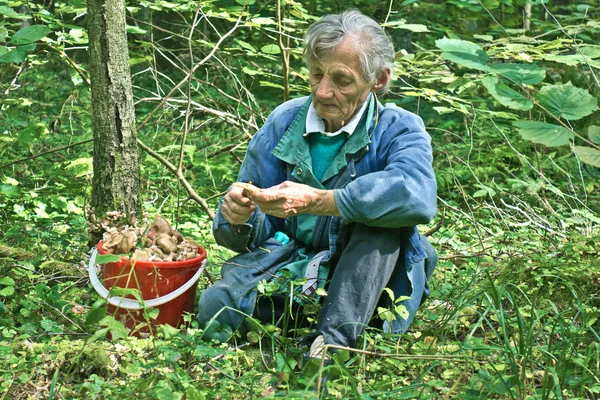 Grandmother with mushrooms — Stock Photo, Image
