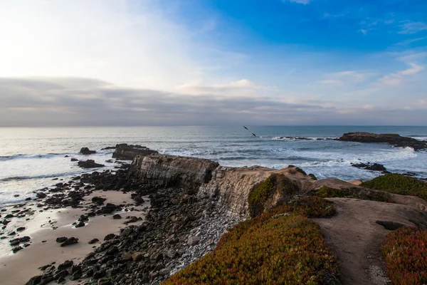 California Coast — Stock Photo, Image