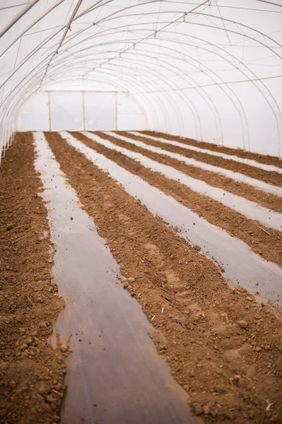 The greenhouse with a modern irrigation system ready for planting fresh organic vegetables.