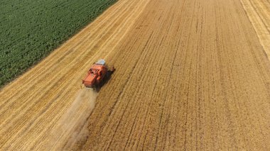 Hava aracı üst görünümü Büyük güçlü endüstriyel hasat makinesini birleştirerek parlak yaz ya da sonbahar gününde altın olgun buğday gevreği tarlası hasat ediyor. Tarım sarı alan makineleri arka planı.