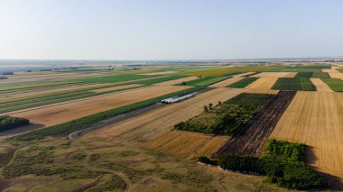 Yatakların üzerinde farklı bitkiler yetişen büyük çağdaş çocuk bahçesi ve güneşli yaz günlerinde seralarda hava manzarası.