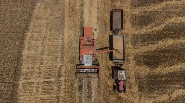 Tractor Picking Crop Bring Storage Tank Combine Harvester — Foto de Stock