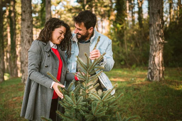 Young Happy Couple Preparing New Year Holidays — Stock Photo, Image