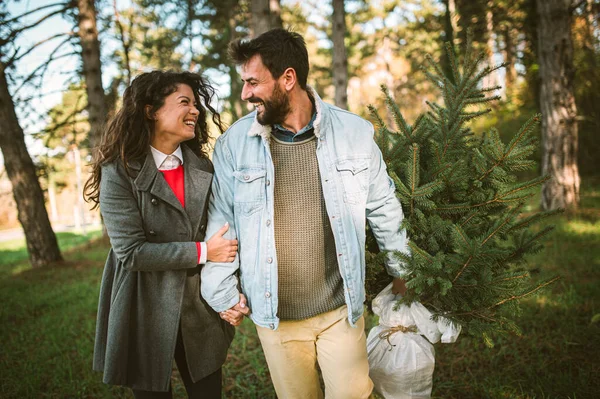 Casal Feliz Com Carrega Uma Árvore Natal — Fotografia de Stock