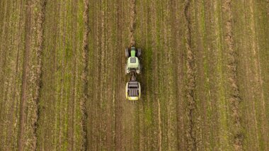 Güzel, güneşli bir günde tarlada saman yığını toplayan traktör.