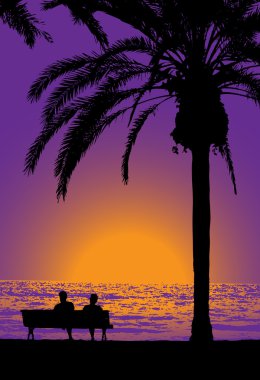 tropikal gece