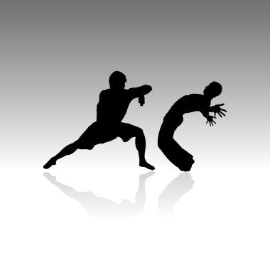 izole fighter silhouettes