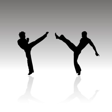 izole fighter silhouettes