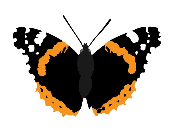 Schöner Schmetterling — Stockvektor