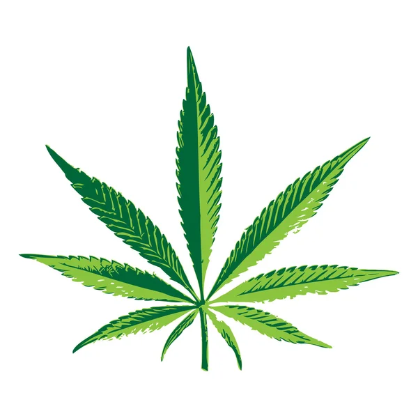 Cannabis leaf voor uw ontwerp — Stockvector