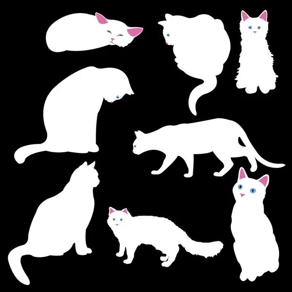 Witte kat silhouetten — Stockvector