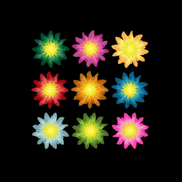 Ensemble varié de fleurs détaillées — Image vectorielle