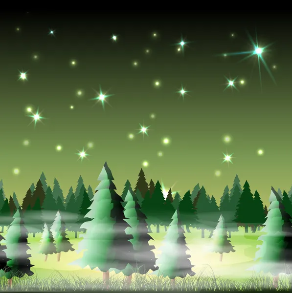 Night forest — Stock Vector