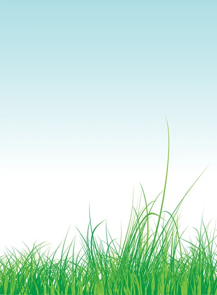 Cadre en herbe avec fond de ciel — Image vectorielle