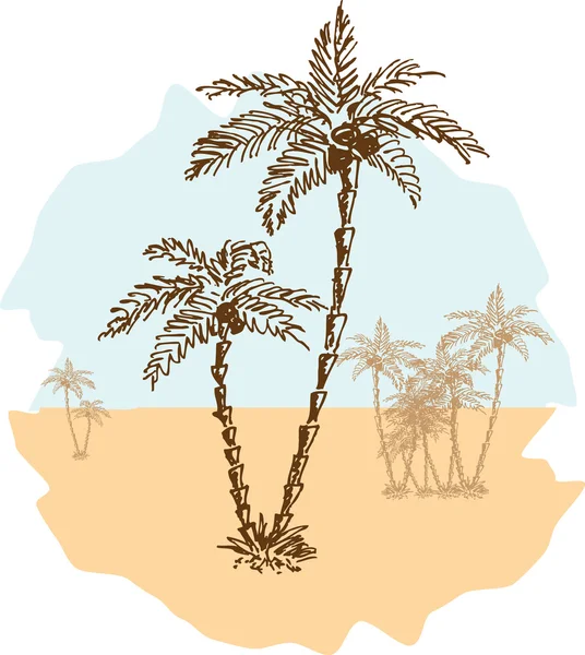 Schets van palmen in de woestijn — Stockvector