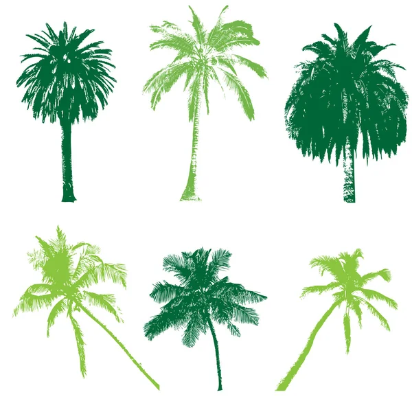 Set of palm tree — Stock Vector