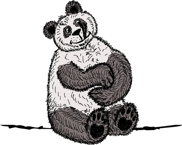 Panda skica pro návrh — Stockový vektor