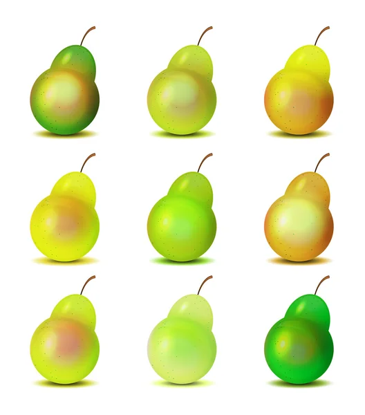 Різнокольорові груші на білому — стоковий вектор