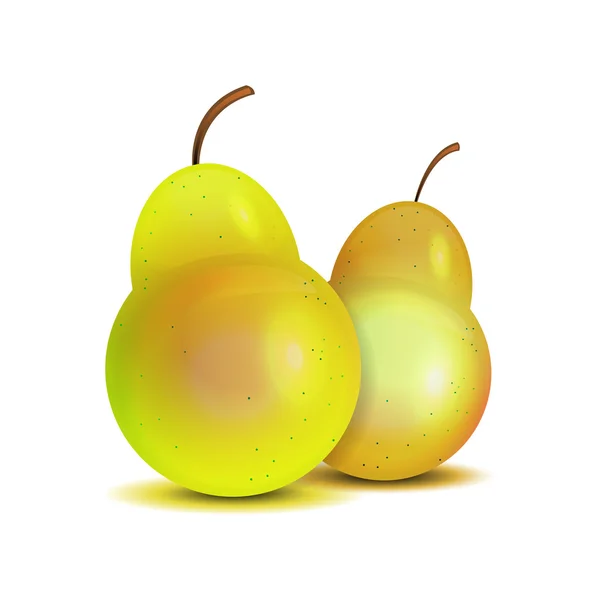 Isolated realistic couple of pears — Stock Vector