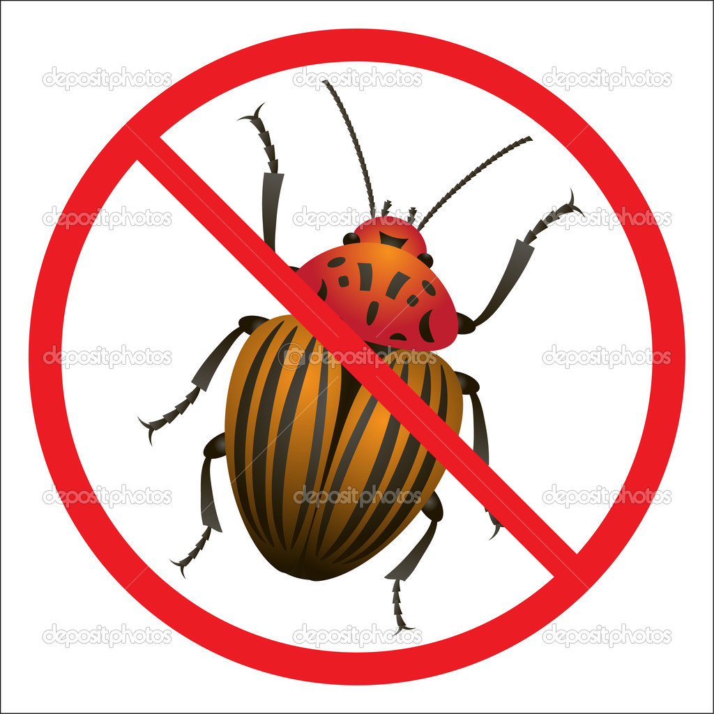 Forbidden sign of colorado beetle