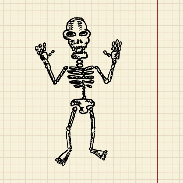 Skeleton sketch — Stock Vector