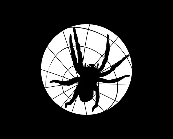 Spider on the spiderweb — Stock Vector
