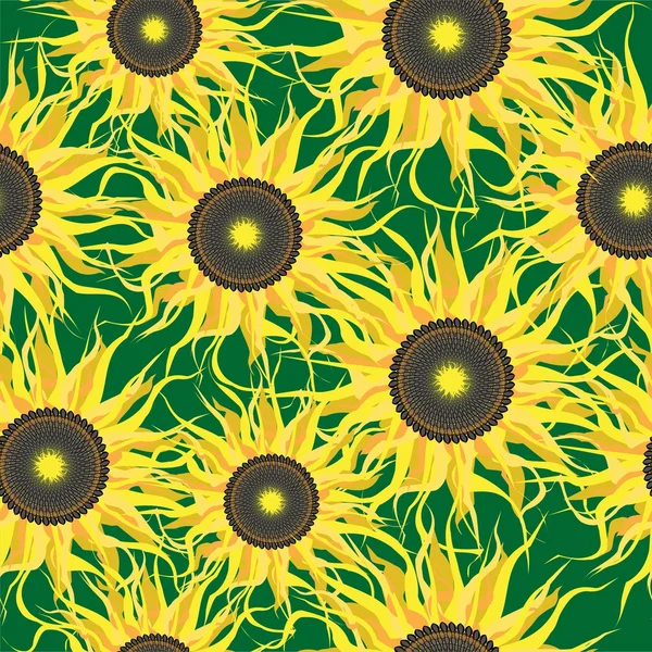 Sunflower seamless background — Stock Vector