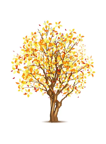 Vector autumn tree — Stock Vector
