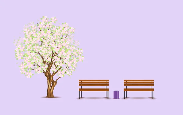 Traditional japanese tree and benches — Stock Vector