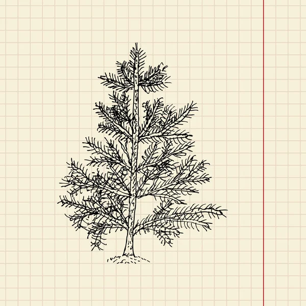 Christmas tree sketch on school paper — Stock Vector