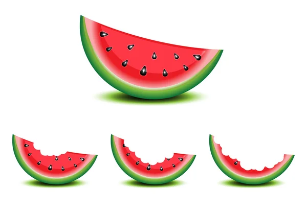 Bitten slices of watermelon — Stock Vector