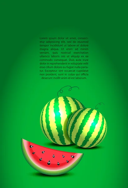 Beleuchtete Wassermelonen und ein Text auf grüner Wand — Stockvektor
