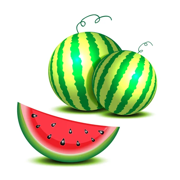 Wassermelone auf weiß — Stockvektor