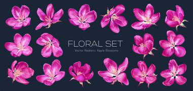 Koyu arkaplanda pembe vektör çiçekleri var. Clip sanatını düzenlemek ve tasarlamak kolaydır. Son derece gerçekçi elle çizilmiş botanik seti 