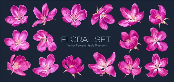 Isolated Pink Vector Flowers Dark Background Clip Art Easy Edit — Vector de stock