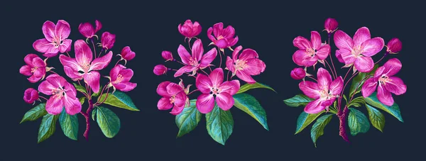 Aislado Sobre Fondo Blanco Realista Rosa Flores Ramas Hojas Conjunto — Archivo Imágenes Vectoriales