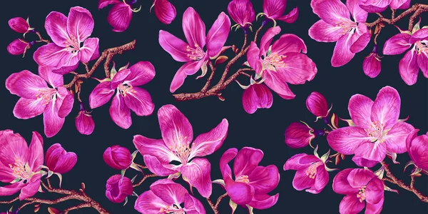 Bannière Horizontale Fond Floral Avec Des Branches Pommiers Roses Fleurs — Image vectorielle