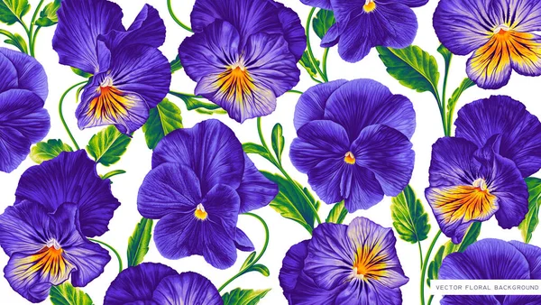 Μεγάλο Floral Φόντο Μωβ Μπλε Κίτρινα Λουλούδια Πανσέδες Viola Ταπετσαρία — Διανυσματικό Αρχείο