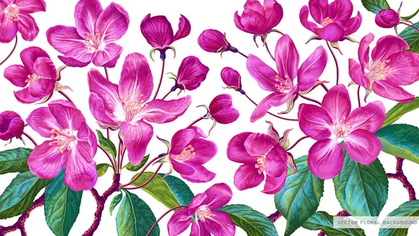 Horizontal Botanical Background Pink Apple Blossoms Vector Realistic Flowers Leaves — Stok Vektör